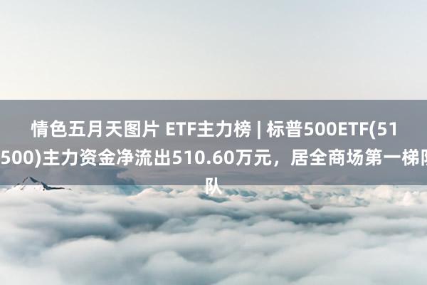 情色五月天图片 ETF主力榜 | 标普500ETF(513500)主力资金净流出510.60万元，居全商场第一梯队
