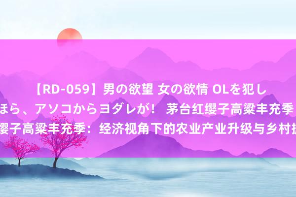 【RD-059】男の欲望 女の欲情 OLを犯したい すました顔して…ほら、アソコからヨダレが！ 茅台红缨子高粱丰充季：经济视角下的农业产业升级与乡村振兴新引擎