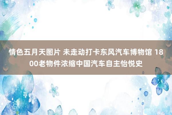 情色五月天图片 未走动打卡东风汽车博物馆 1800老物件浓缩中国汽车自主怡悦史