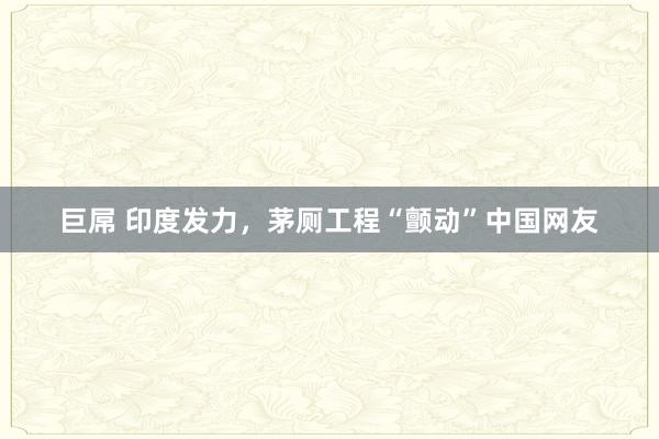 巨屌 印度发力，茅厕工程“颤动”中国网友