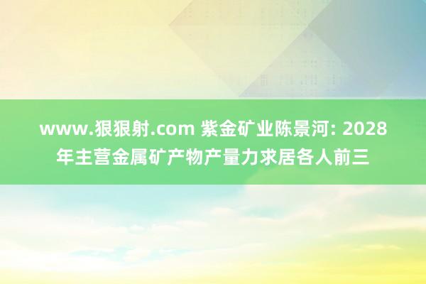 www.狠狠射.com 紫金矿业陈景河: 2028年主营金属矿产物产量力求居各人前三