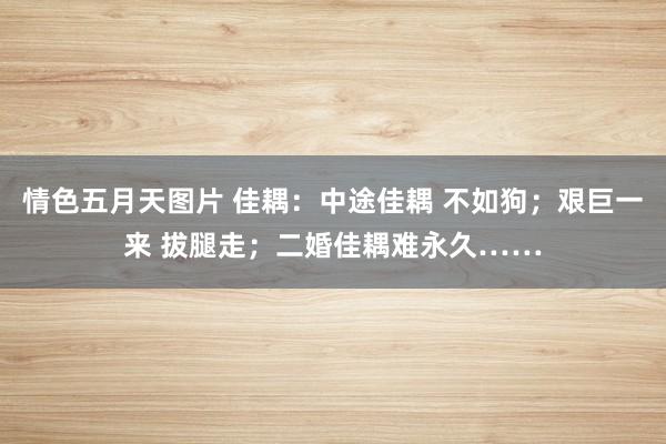 情色五月天图片 佳耦：中途佳耦 不如狗；艰巨一来 拔腿走；二婚佳耦难永久……